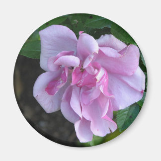 Hübsche Lady 092 Magnet
