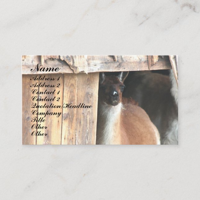 Hübsche Lama Farm Animal Business Card Visitenkarte (Vorderseite)