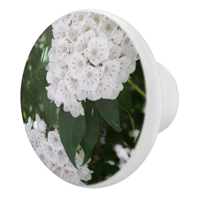 Hübsche Laurel-Blume Keramikknauf (Rechts)