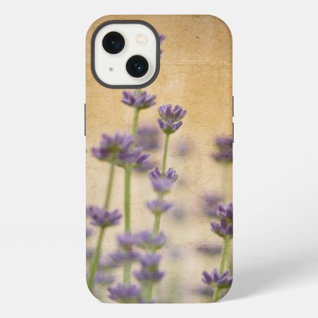 Hübsche Lavendel-Blume iPhone Hülle (Rückseite)