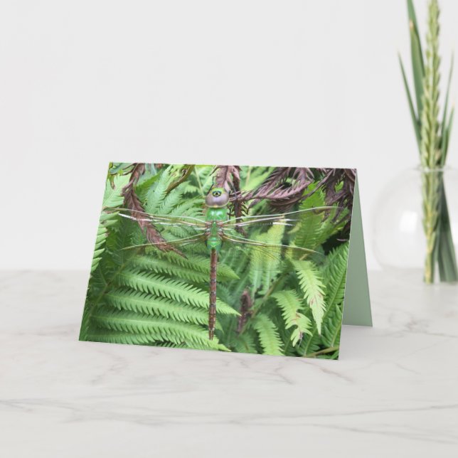 Hübsche Libelle im Garten Foto Grußkarte Karte (Vorderseite)