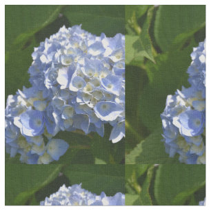 Hübsche Light Blue Hydrangea-Blume Stoff