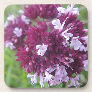 Hübsche lila Blumenkugel Untersetzer