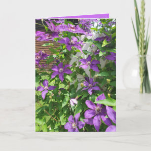 Hübsche Lila Clematis Florale Leinwand Karte