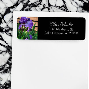 Hübsche Lila Iris-Blume