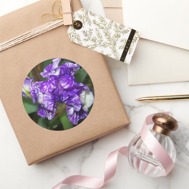 Hübsche Lila Iris-Blume Runder Aufkleber (Schenken)