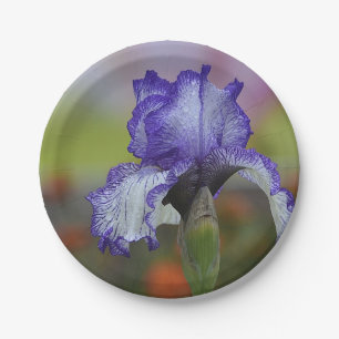 Hübsche lila Iris Pappteller