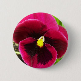 Hübsche Lila Pansy Floral Button