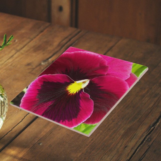 Hübsche Lila Pansy Floral Fliese (In Situ)