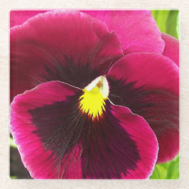 Hübsche Lila Pansy Floral Glasuntersetzer
