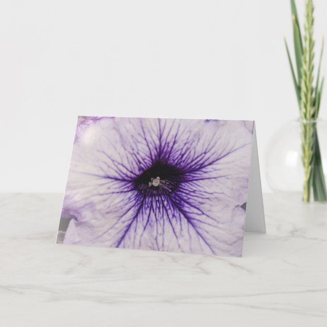 Hübsche Lila Petunia-Blume Nahe Kunstkarte Karte (Vorderseite)