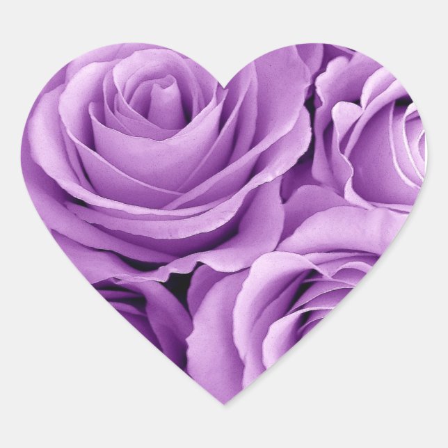 Hübsche Lila Rose Herz-Aufkleber (Vorderseite)