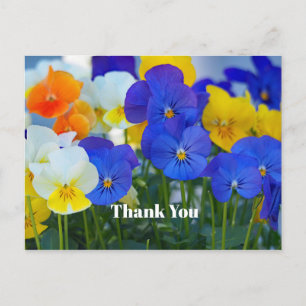 Hübsche lila Stiefmütterchen Blumen Foto Danke Postkarte