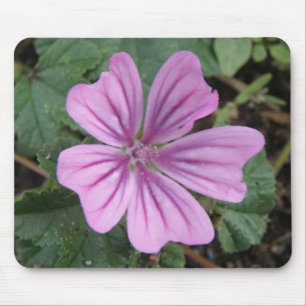 Hübsche Lila Wildblume Mousepad