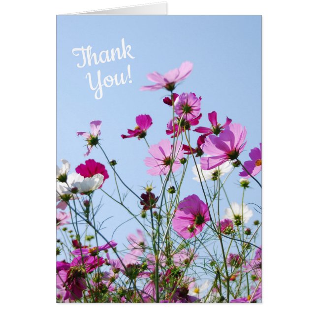 Hübsche Lila Wilde Blume Meadow Vielen Dank (Vorne)