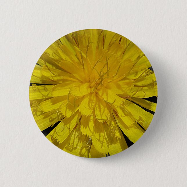 Hübsche Löwenblüte Button (Vorderseite)