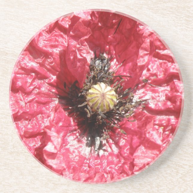 Hübsche Macro-Untersetzer der Red Poppy Blume Getränkeuntersetzer (Vorne)