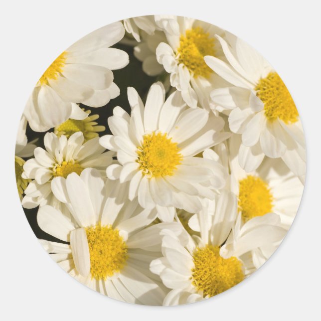 Hübsche Milchaufkleber Runder Aufkleber (Vorderseite)