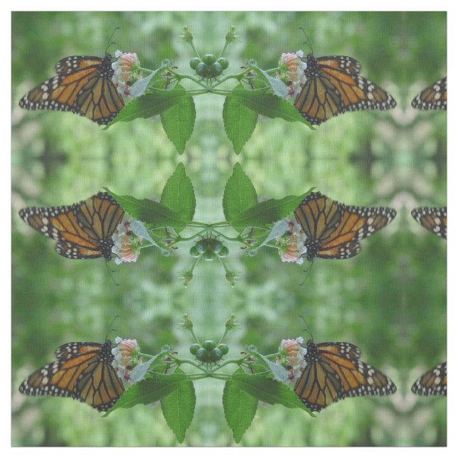 Hübsche Monarchfliegenmaterie Stoff (Muster)