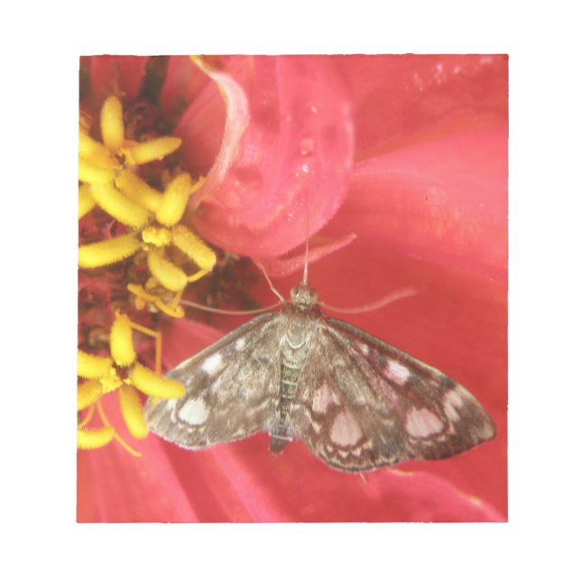 Hübsche Moth auf Red Blume Notepad Notizblock (Vorderseite)