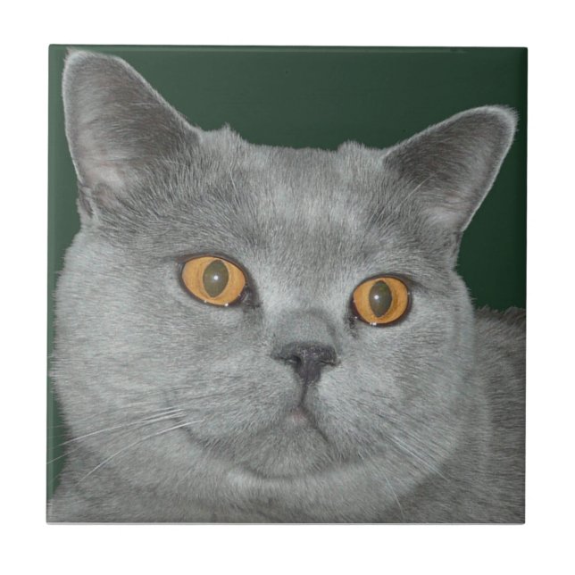 Hübsche orange mit Augen Kitty-Fliese Fliese (Vorderseite)