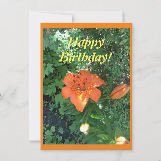 Hübsche Orangenlilie Geburtstag Karte (Vorderseite)