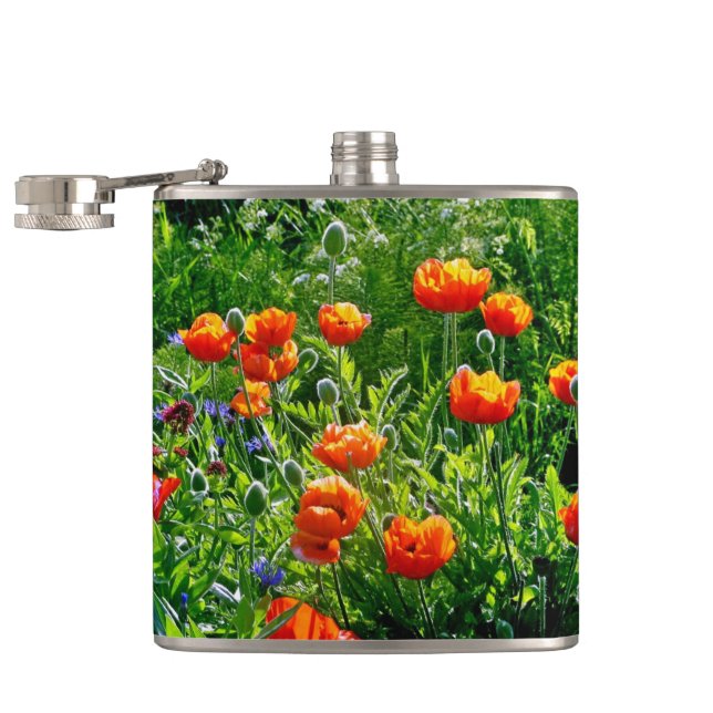 Hübsche Orangenmohn Flachmann (Geöffnet)