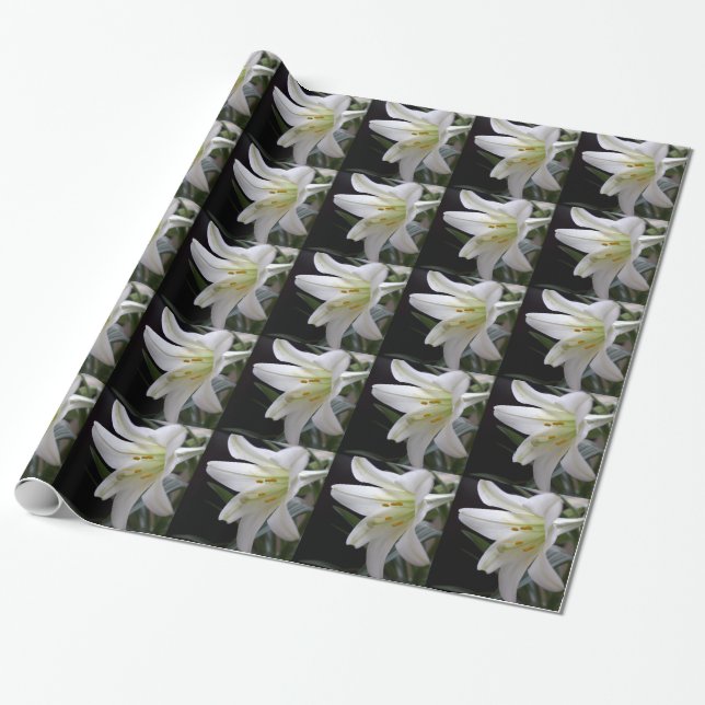 Hübsche Osterlilie-Blume in Schwarz Geschenkpapier (Ungerollt)