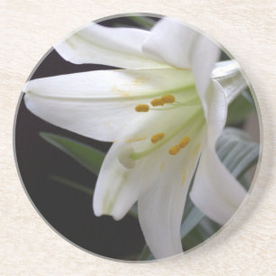 Hübsche Osterlilie-Blume in Schwarz Getränkeuntersetzer