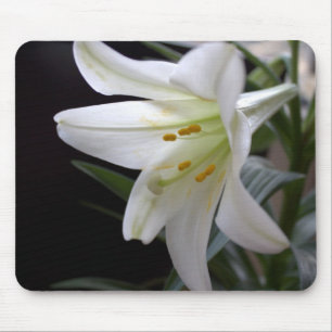 Hübsche Osterlilie-Blume in Schwarz Mousepad
