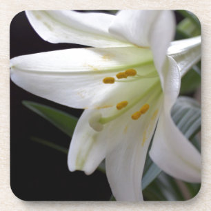 Hübsche Osterlilie-Blume in Schwarz Untersetzer