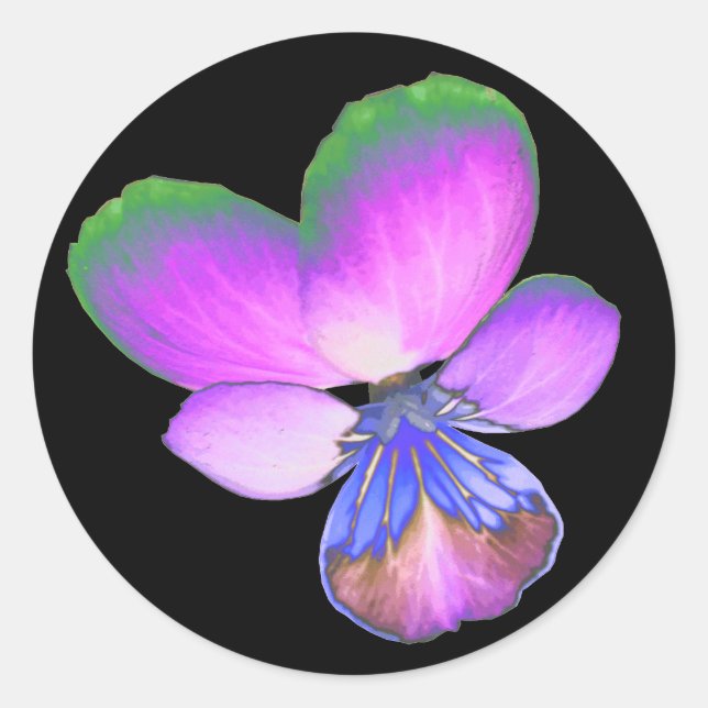 Hübsche Pansy-Aufkleber Runder Aufkleber (Vorderseite)