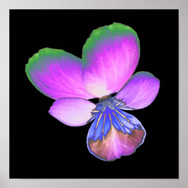 Hübsche Pansy Print Poster (Vorne)