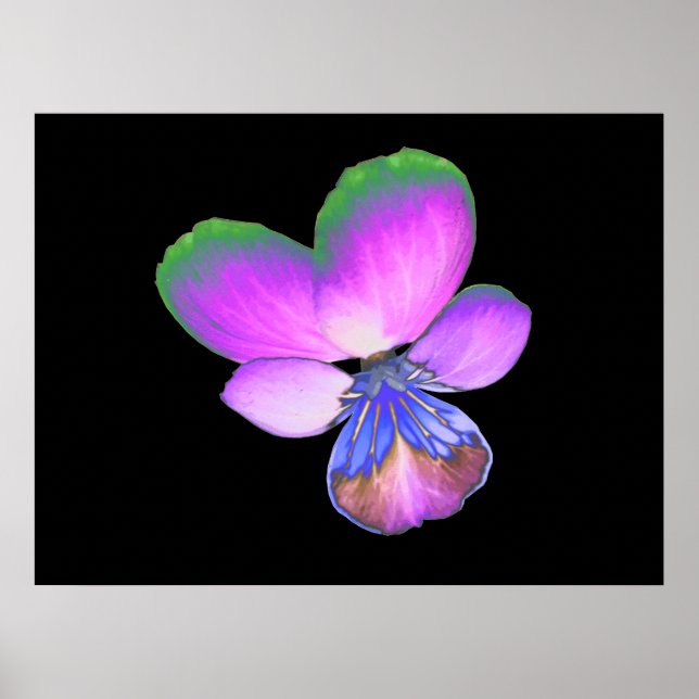 Hübsche Pansy Print Poster (Vorne)