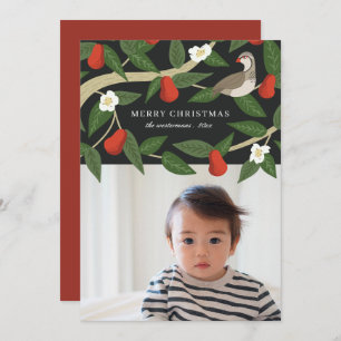 Hübsche Partridge in einem Birnenbaum Weihnachte Feiertagskarte