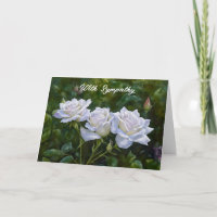 Hübsche Pastell-Rose im Garten Mittag-und Abendess
