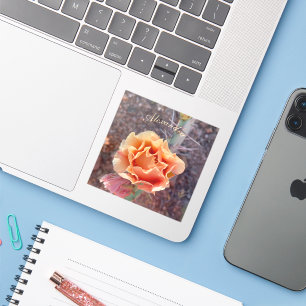 Hübsche Peach Prickly Birne Blume Aufkleber