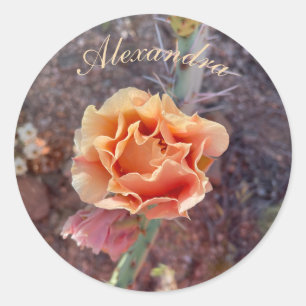Hübsche Peach Prickly Birne Blume Runder Aufkleber