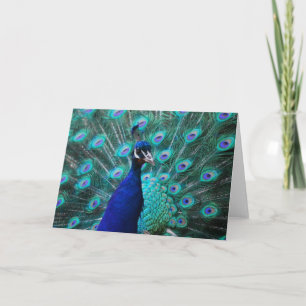 Hübsche Pfau-Gruß-Karte Karte