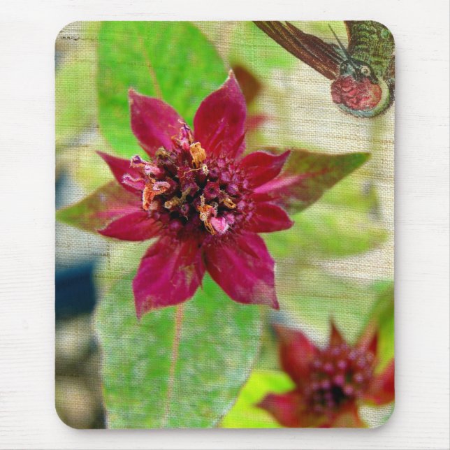 HÜBSCHE PFLANZE 2 MOUSEPAD (Vorne)
