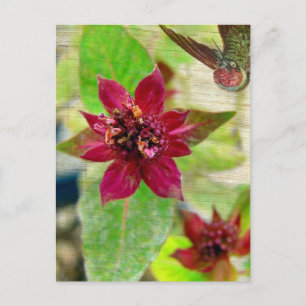 HÜBSCHE PFLANZE 2 POSTKARTE