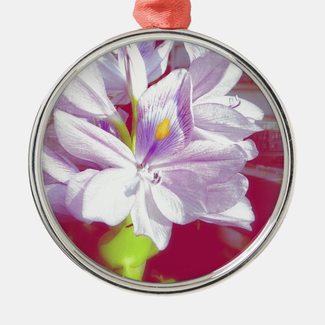 Hübsche Pflanze Lila Teiche Blume Silbernes Ornament (Vorne)