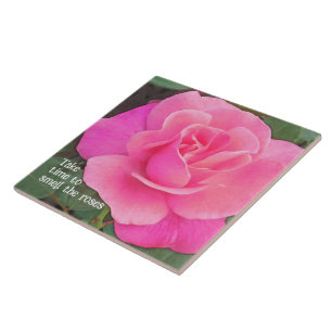 HÜBSCHE PINKROSE/ ZEIT, UM DIE ROSE ZU VERSCHMELEN FLIESE