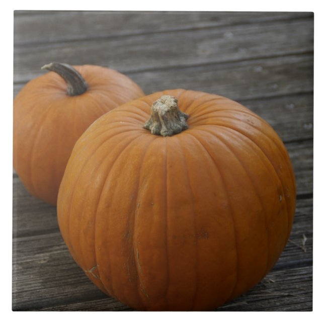 Hübsche Pumpkins Fliese (Vorderseite)