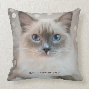 Hübsche Ragdoll-Katze & editierbarer Text Kissen