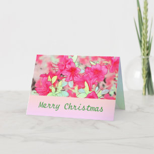 Hübsche rosa Azaleenblüten Feiertage Weihnachten
