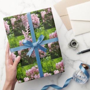 Hübsche rosa Berglorbeerblüten Geschenkpapier