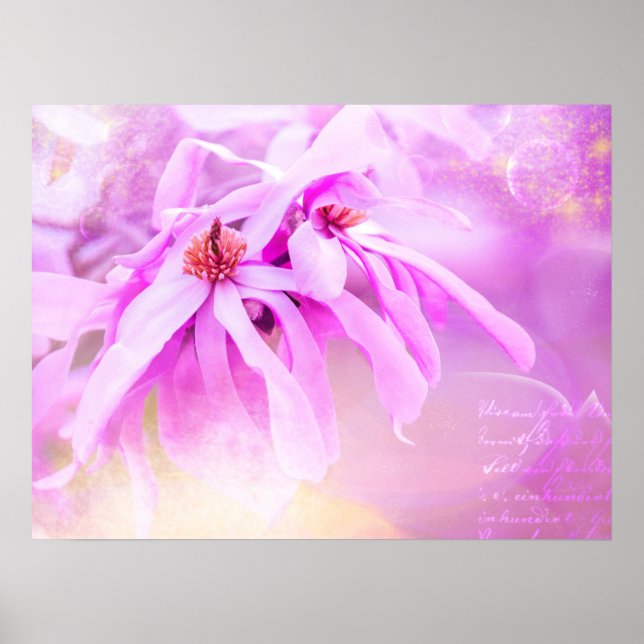 Hübsche rosa Blume blüht Poster (Vorne)
