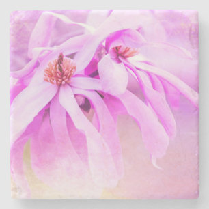 Hübsche rosa Blume blüht Steinuntersetzer