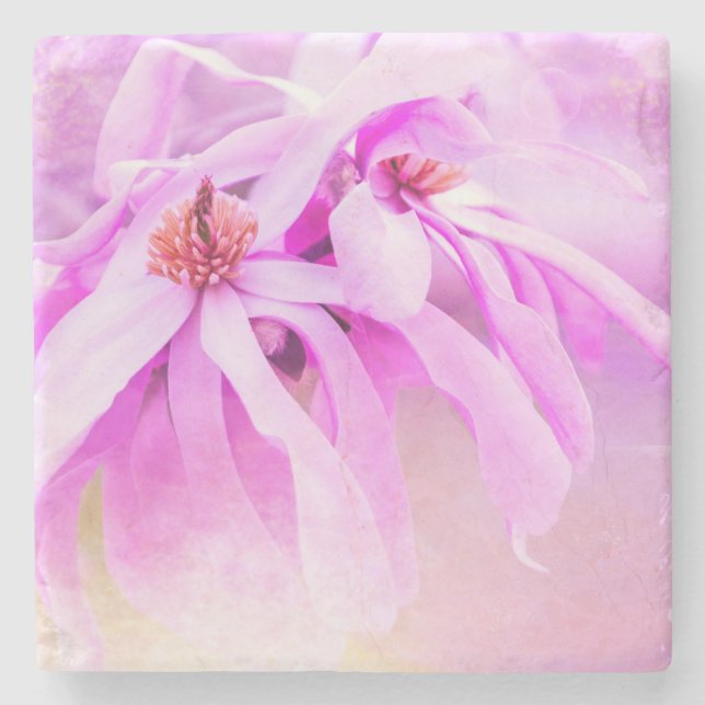 Hübsche rosa Blume blüht Steinuntersetzer (Vorderseite)
